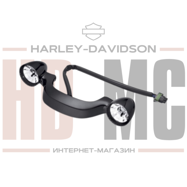 Задние фонари (USA) Harley-Davidson 67800483